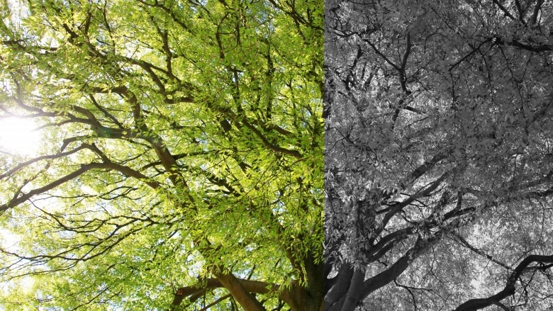 Transformation Transformation